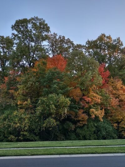 Franciscan Trail - Beech Grove, IN