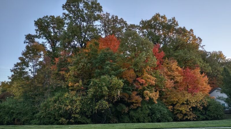 Franciscan Trail - Beech Grove, IN