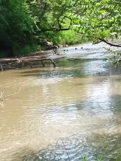 Franciscan Trail - Beech Grove, IN