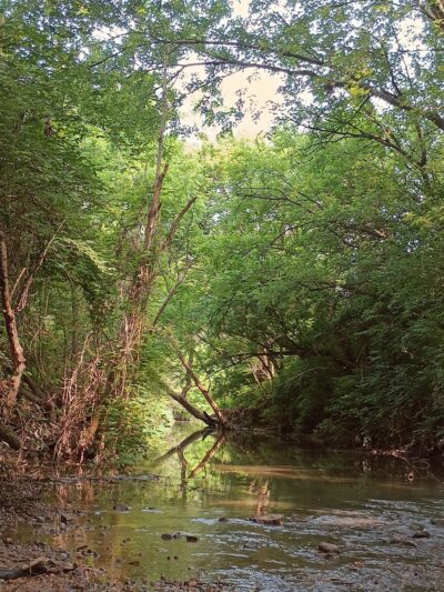 Franciscan Trail - Beech Grove, IN