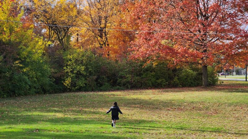 Hornet Park - Beech Grove, IN