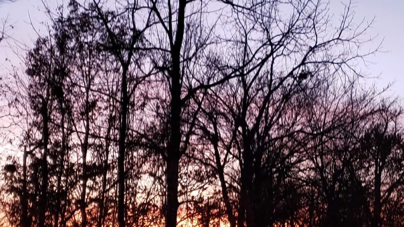 Hornet Park - Beech Grove, IN