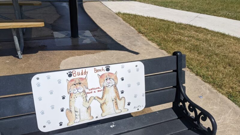 Beecher,IL Park - Beecher, IL