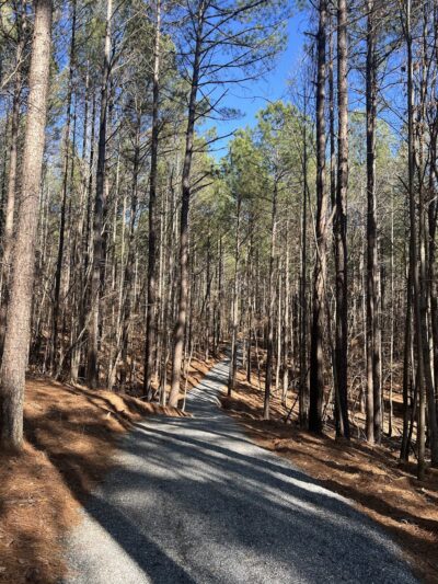J. Dudley Watts Jr. Belews Lake Park - Belews Creek, NC