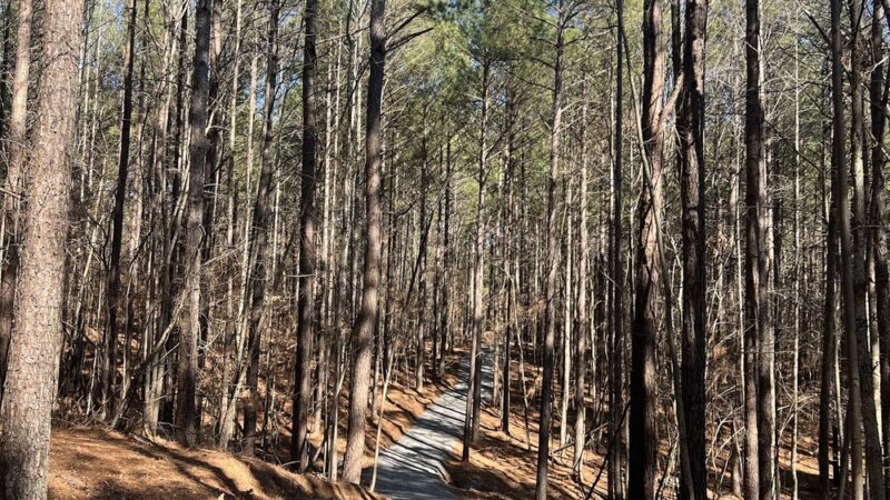 J. Dudley Watts Jr. Belews Lake Park - Belews Creek, NC