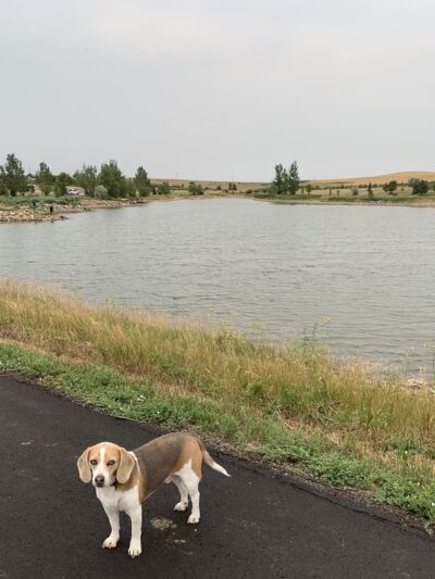 The Dam Park - Belfield, ND