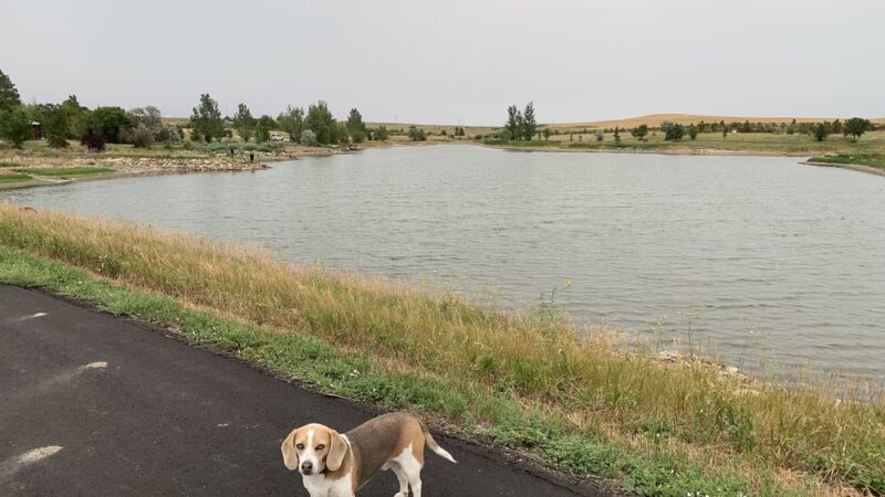 The Dam Park - Belfield, ND