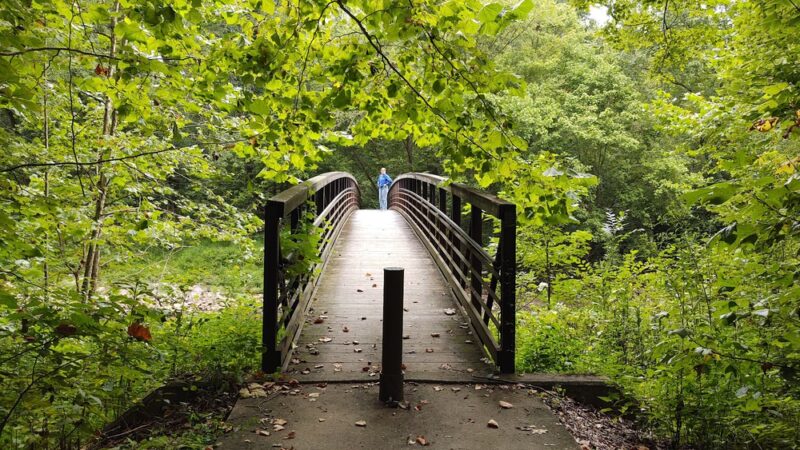 Todd Fink Heron Pond Trail - Belknap, IL
