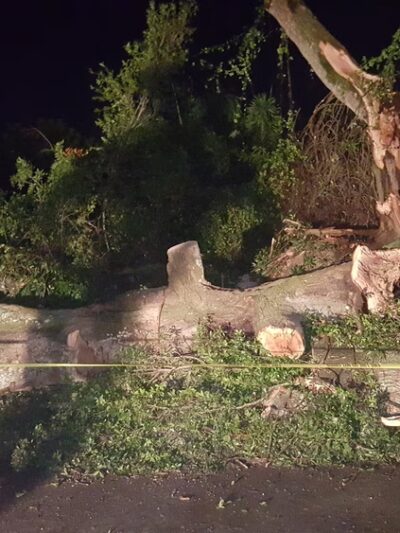 Peninsular Park - Belle Isle, FL