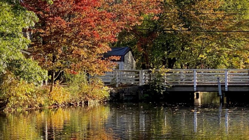 Delaware & Raritan Canal State Park Trail - Griggstown Causeway - Belle Mead, NJ