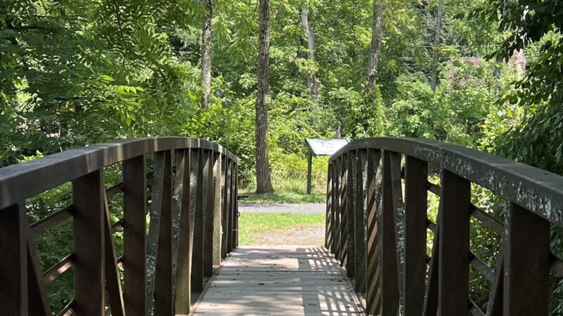 Delaware & Raritan Canal State Park Trail - Griggstown Causeway - Belle Mead, NJ