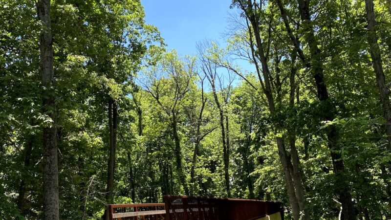 Montgomery/Belle Mead Trail - Belle Mead, NJ