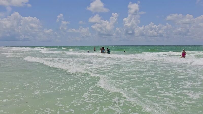 Morgan Park - Belleair Beach, FL