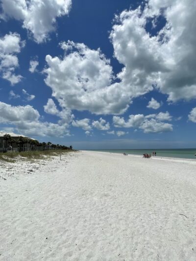 Morgan Park - Belleair Beach, FL
