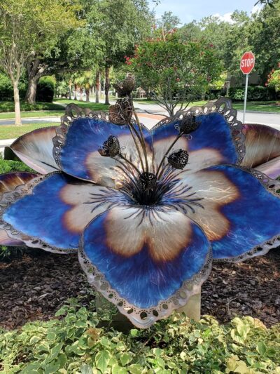 Doyle Park - Belleair, FL