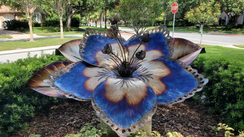 Doyle Park - Belleair, FL