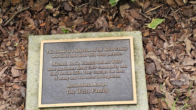 Doyle Park - Belleair, FL
