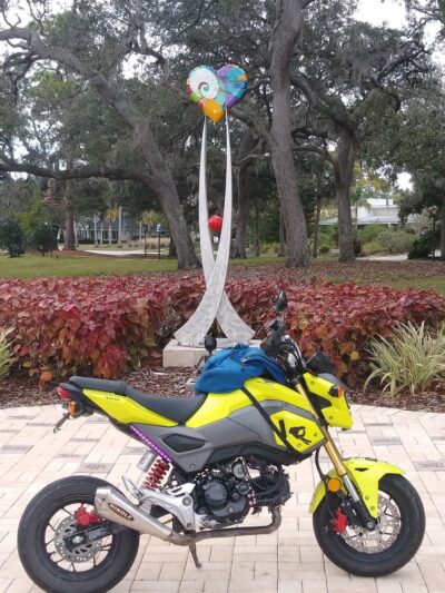 Doyle Park - Belleair, FL