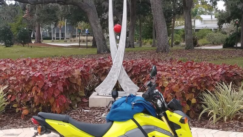 Doyle Park - Belleair, FL