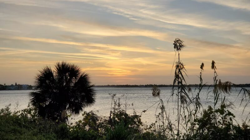 Hallett Park - Belleair, FL