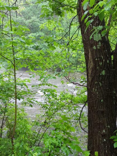 Fisherman's Paradise - Bellefonte, PA