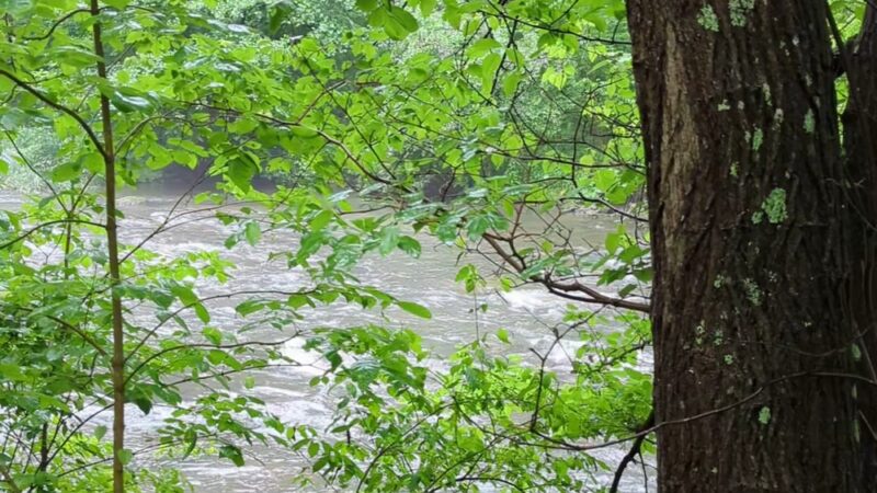 Fisherman's Paradise - Bellefonte, PA