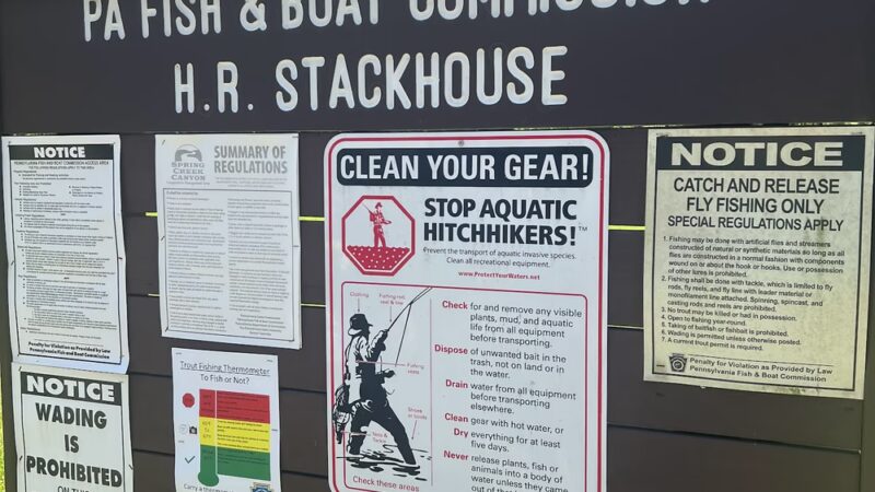 Fisherman's Paradise - Bellefonte, PA