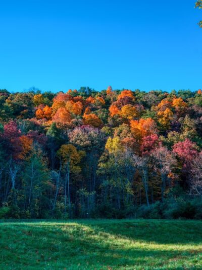Fisherman's Paradise - Bellefonte, PA