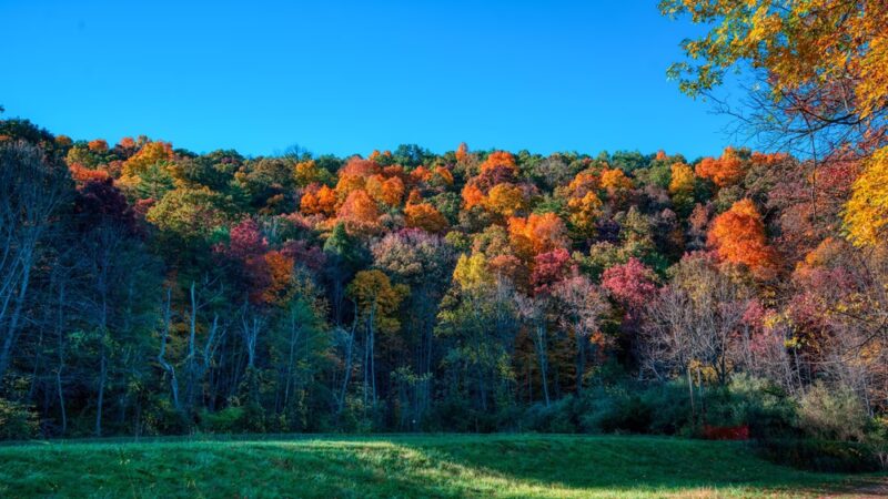 Fisherman's Paradise - Bellefonte, PA