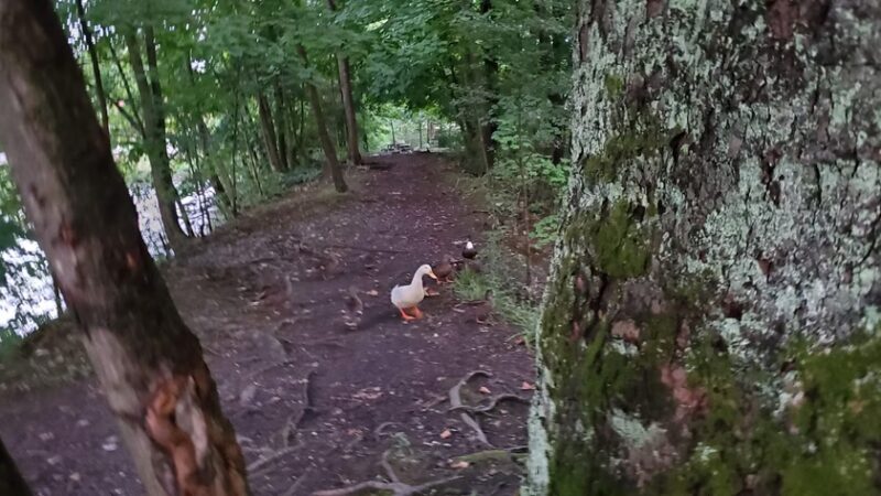 Krauss Park - Bellefonte, PA