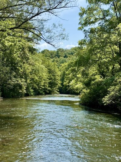 Spring Creek Canyon Trail - Bellefonte, PA