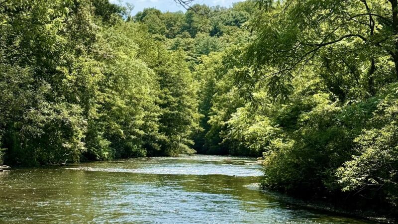 Spring Creek Canyon Trail - Bellefonte, PA