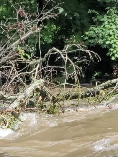 Spring Creek Canyon Trail - Bellefonte, PA