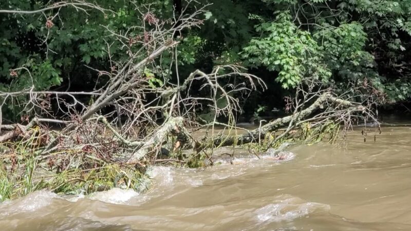 Spring Creek Canyon Trail - Bellefonte, PA