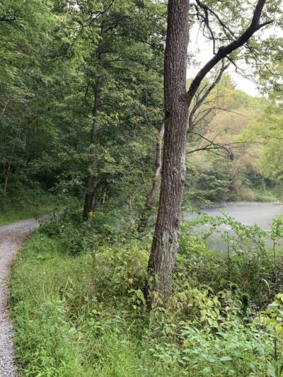 Spring Creek Canyon Trail - Bellefonte, PA