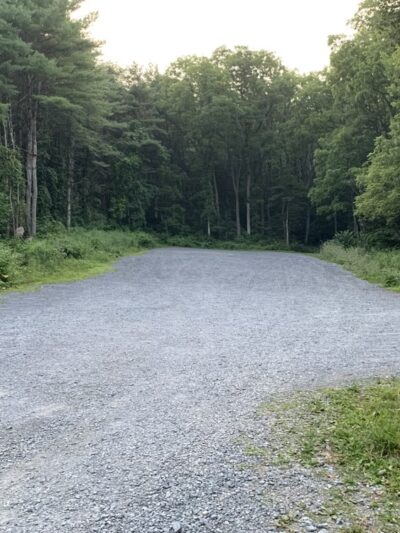 Spring Creek Canyon Trail - Bellefonte, PA