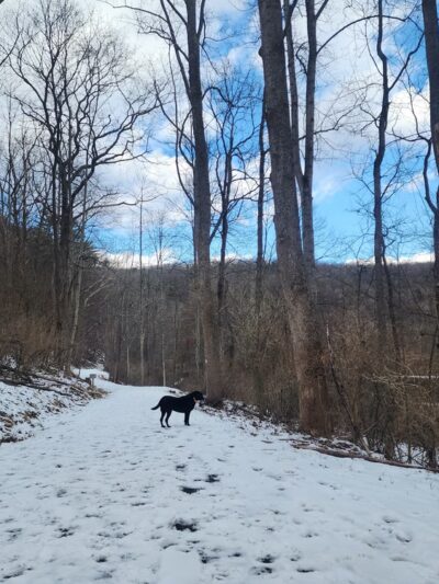 Spring Creek Canyon Trail - Bellefonte, PA
