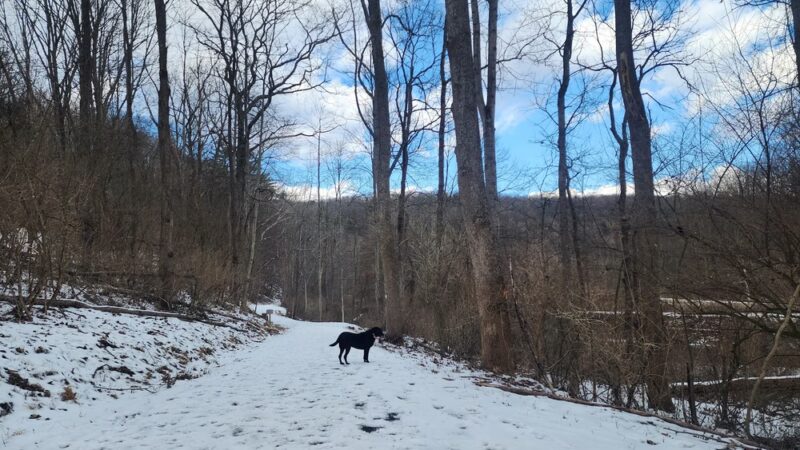 Spring Creek Canyon Trail - Bellefonte, PA
