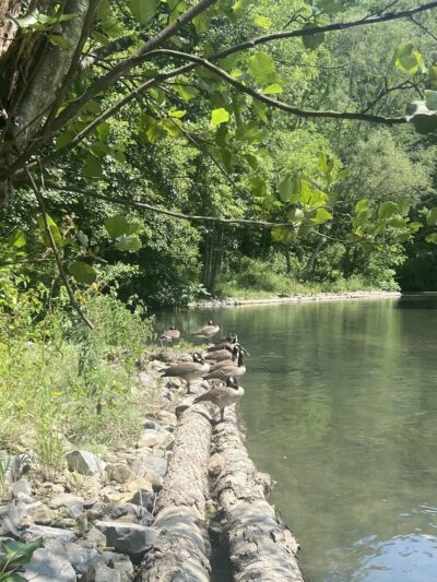 Spring Creek Trailhead - Bellefonte, PA
