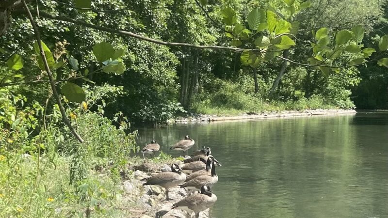 Spring Creek Trailhead - Bellefonte, PA