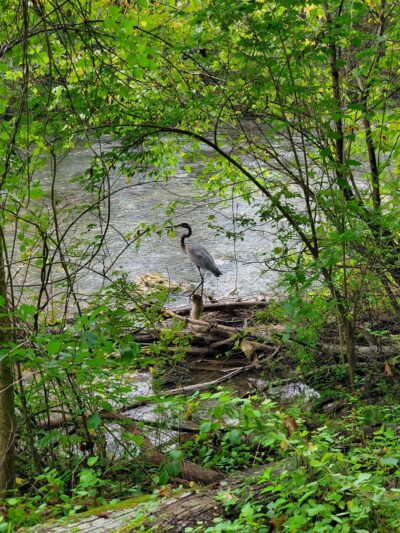 Spring Creek Trailhead - Bellefonte, PA