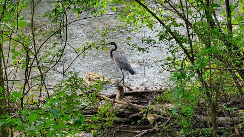 Spring Creek Trailhead - Bellefonte, PA