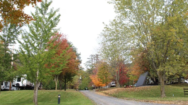 The Bellefonte Campground - Bellefonte, PA
