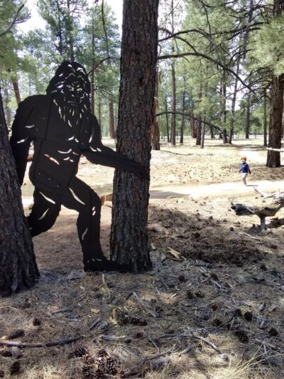 The Barefoot Trail - Flagstaff - Bellemont, AZ