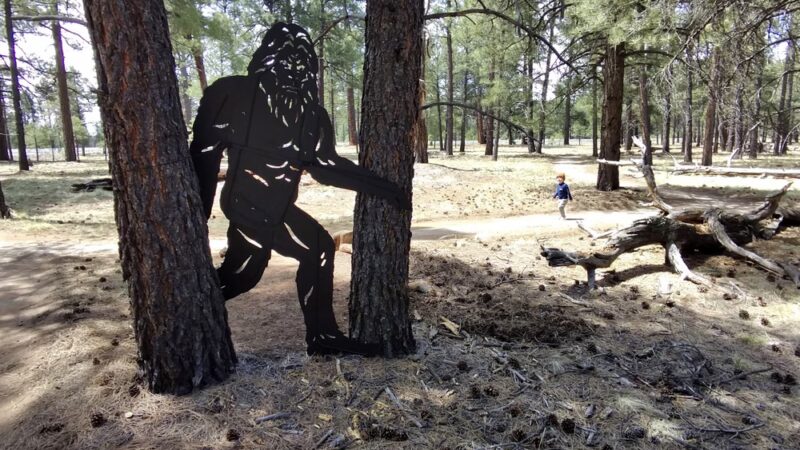 The Barefoot Trail - Flagstaff - Bellemont, AZ