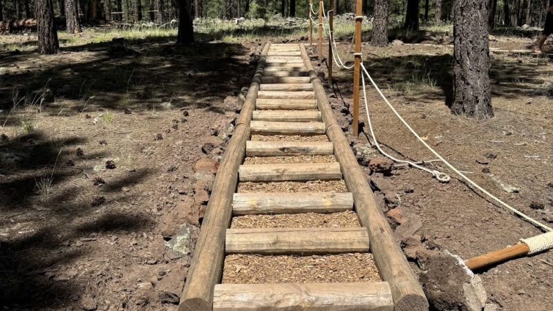 The Barefoot Trail - Flagstaff - Bellemont, AZ