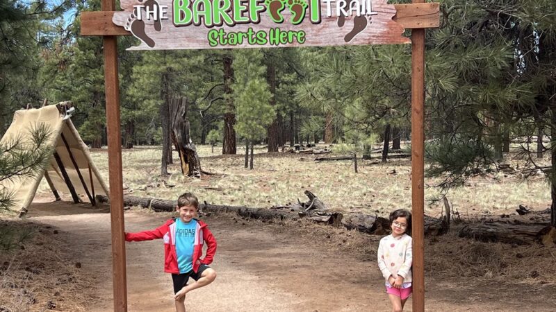 The Barefoot Trail - Flagstaff - Bellemont, AZ