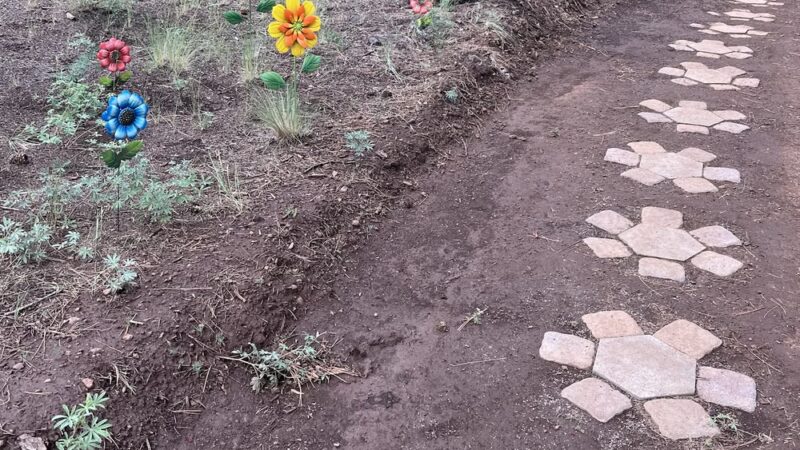 The Barefoot Trail - Flagstaff - Bellemont, AZ