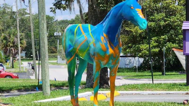 Belleview City Hall Park - Belleview, FL