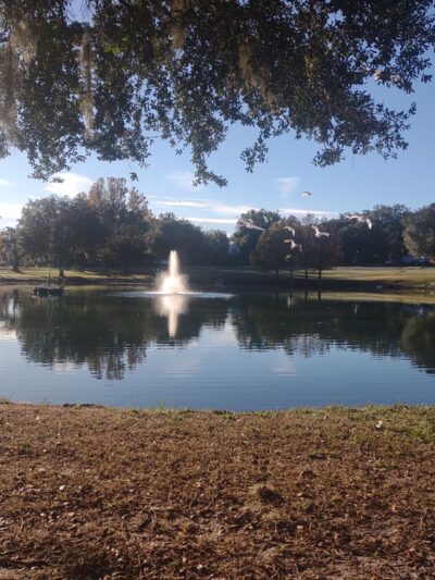 Lake Lillian Pavilion - Belleview, FL